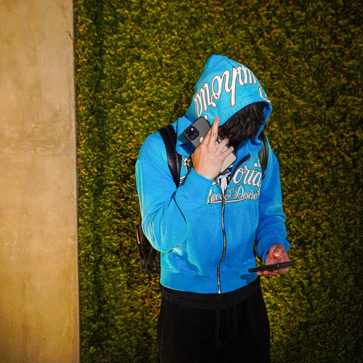 “Pleasure & Desire” Zip Up - Blue